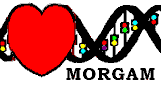 MORGAM logo