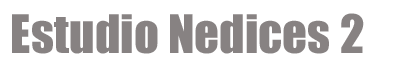 NEDICES-2 logo